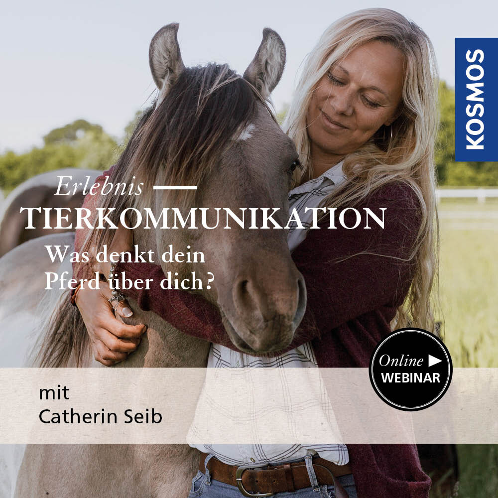Erlebnis Tierkommunikation – Was denkt dein Pferd über dich?