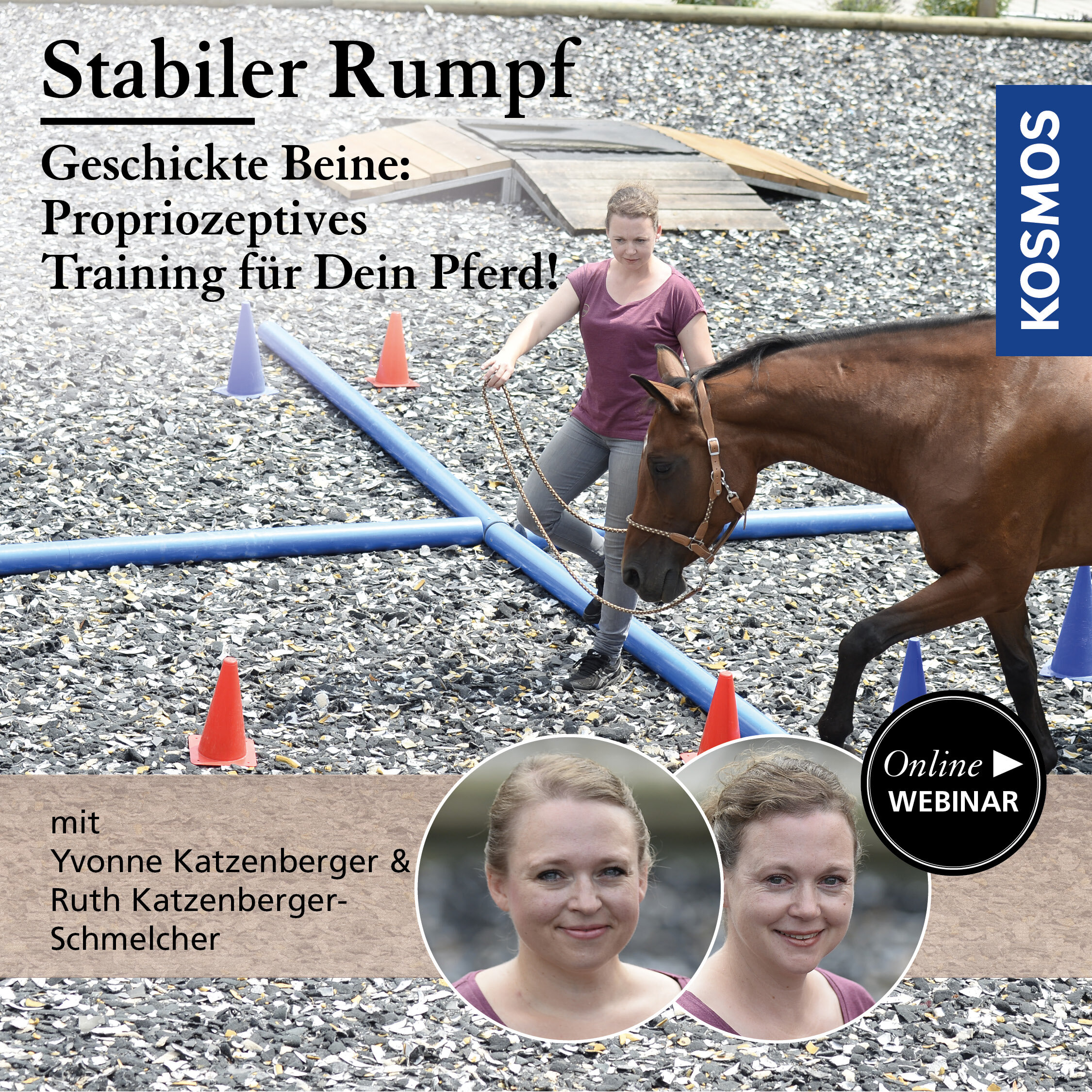 Stabiler Rumpf – geschickte Beine: Propriozeptives Training für mein Pferd!