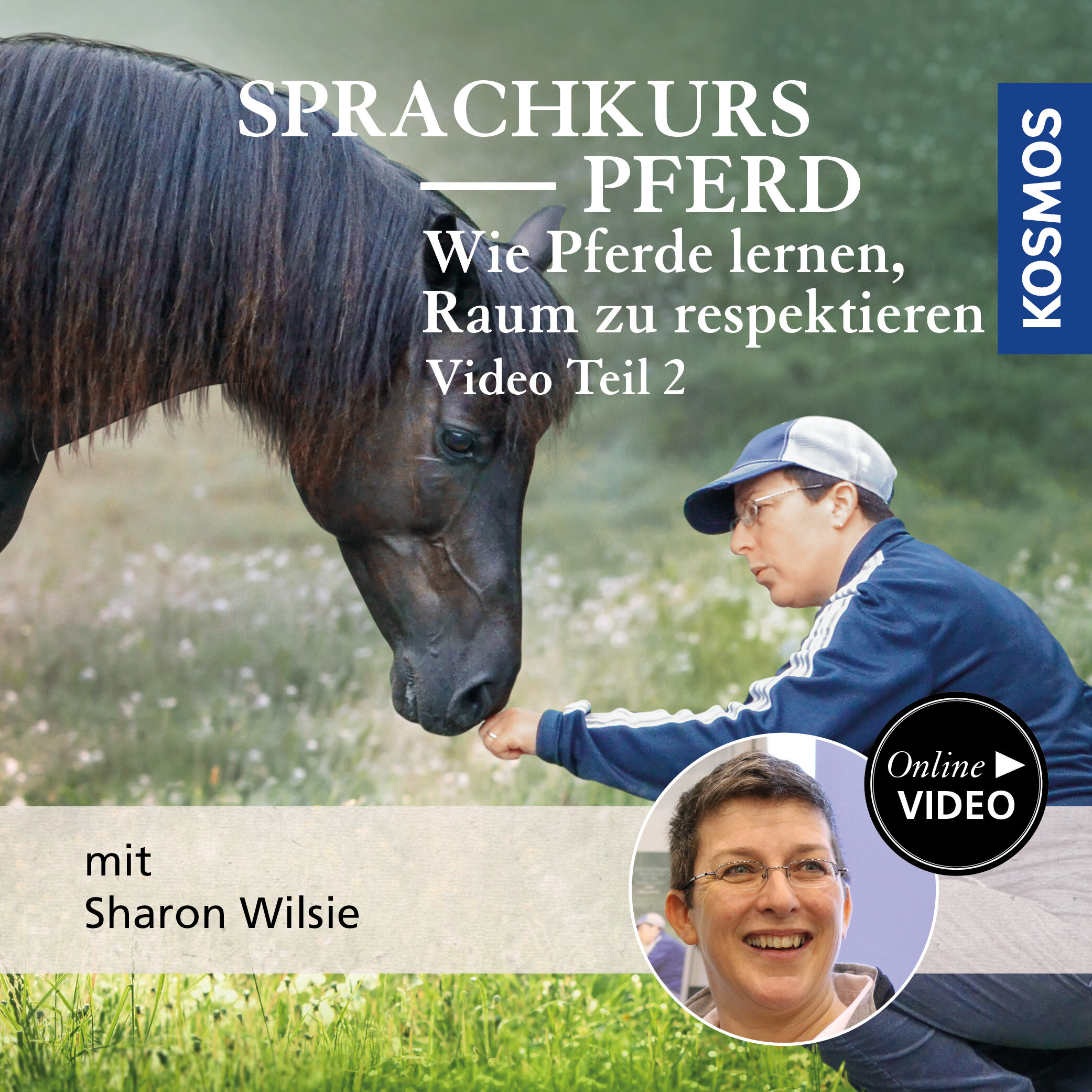 Sprachkurs Pferd – Wie Pferde lernen  Raum zu respektieren Teil 2