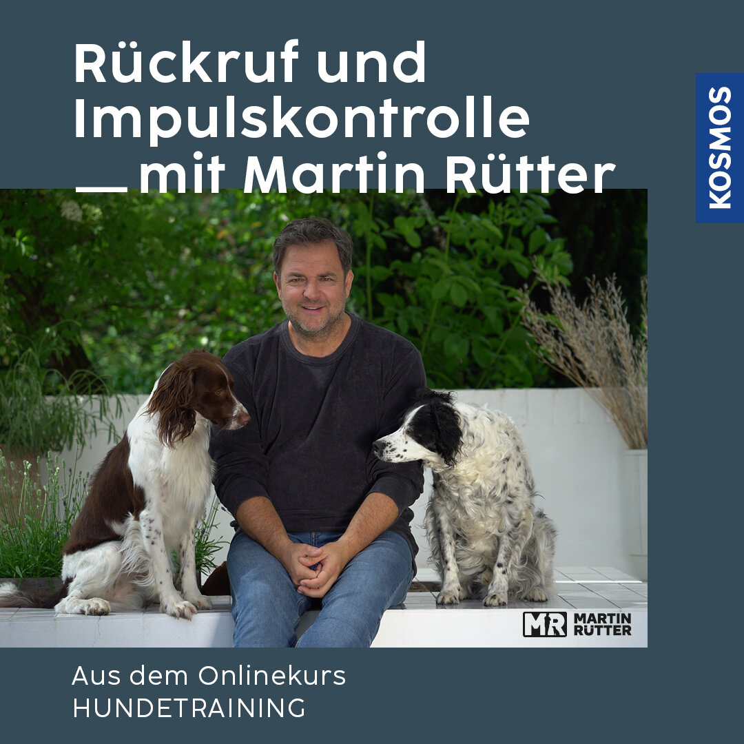 Rückruf und Impulskontrolle mit Martin Rütter